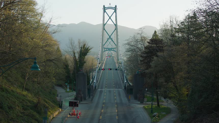 An aerial view of an empty street is displayed surrounded by nature