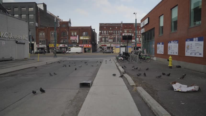 Pigeons walk along an empty city street searching and pecking for food