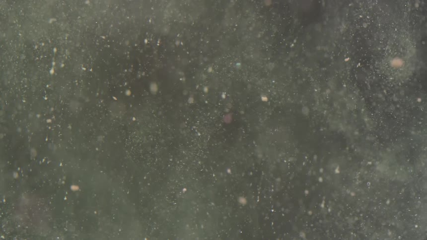 Particles floating in the air