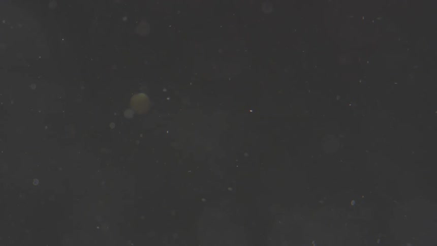 Stars float around in outer space
