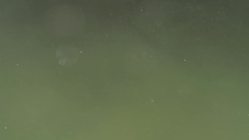 Floating reflective particles
