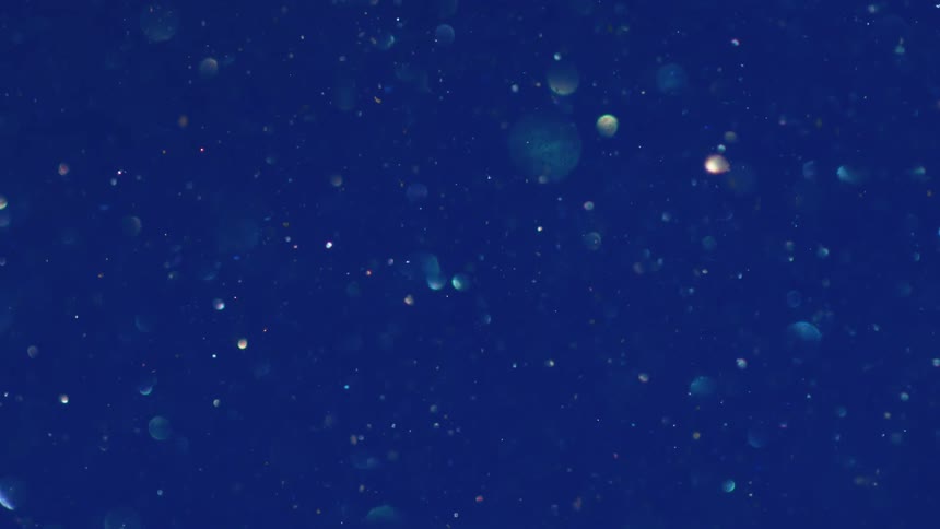 Within a blue liquid there are several droplets and bubbles suspended and slowly moving as the liquid flows