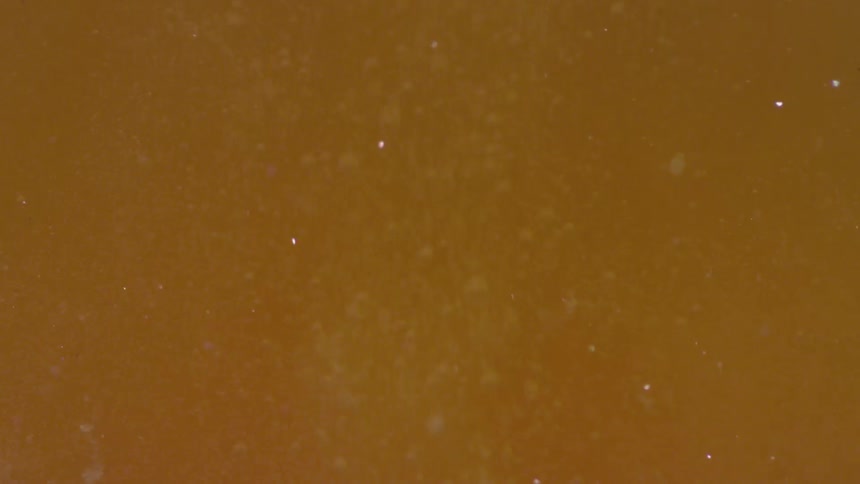 Bubbles floating in yellow liquid