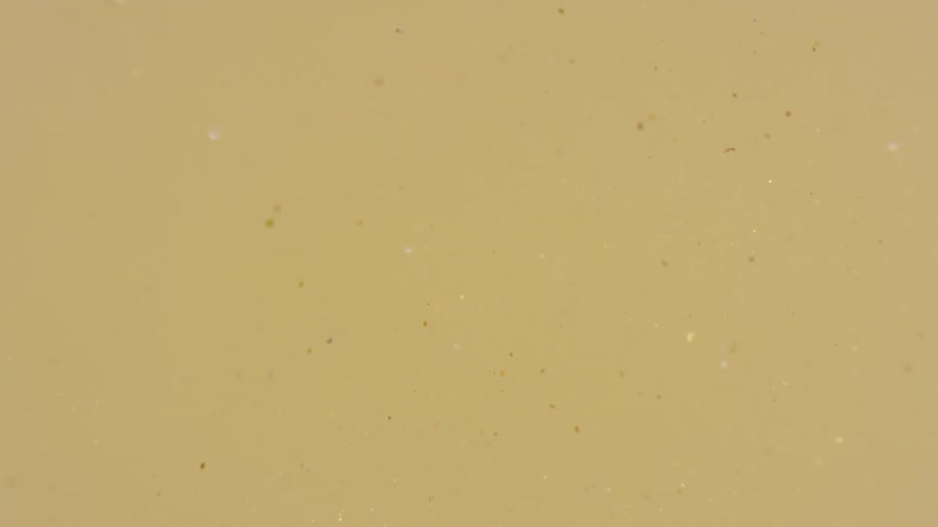 Glitter floating in the air
