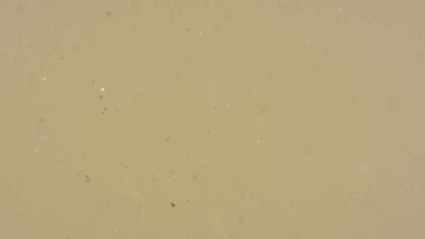 Floating shiny particles
