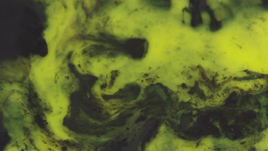 Greens yellows and blacks swirls and blend in mixture