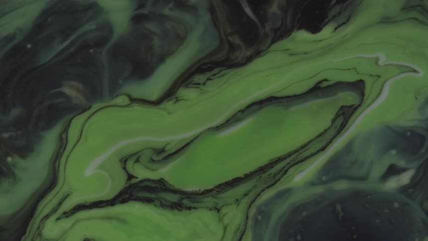Dark green paint mixed with white paint to form a light green in the center
