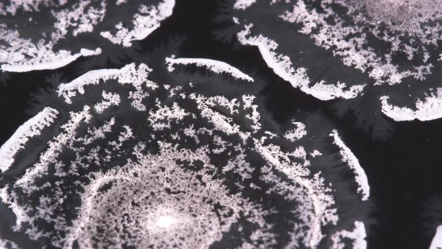 Abstract black and white paint ink liquid diffusion psychedelic with movement