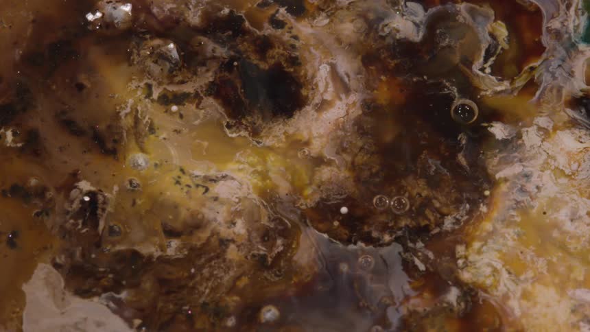 Yellow white brown and black colors that look like liquid and bubbles