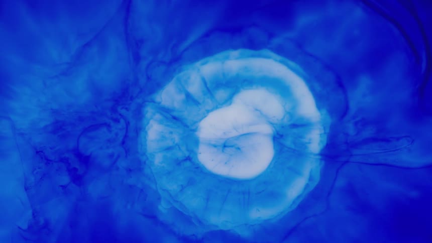 Movement of blue liquid