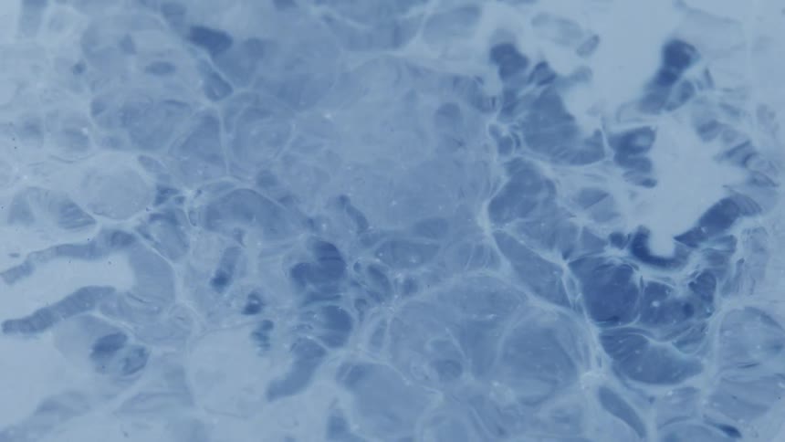 Water bubbling in a geyser