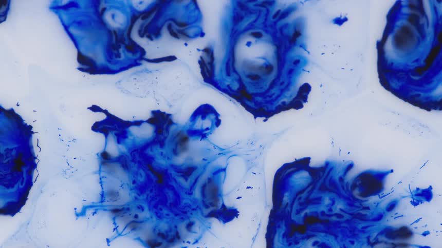 Blue swirly blobs of dye shift among clearer white background