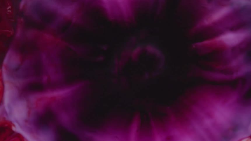 Movement of red and pink liquid