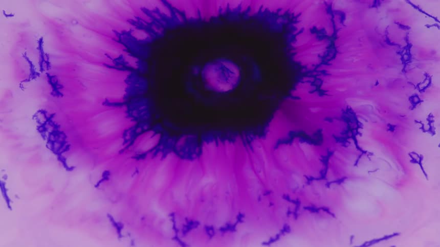 Abstract colors are on display