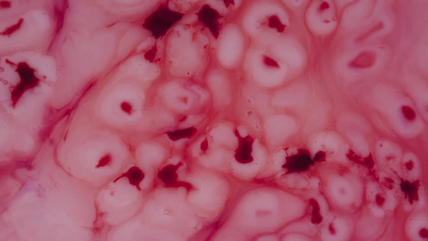Pink and red colors are moving in a abstract image