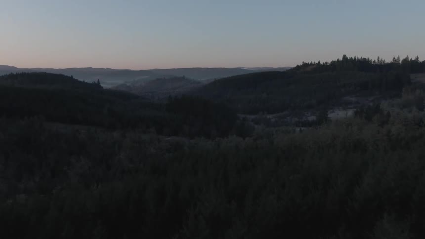 A forest with trees with hills the sky and clouds in the background