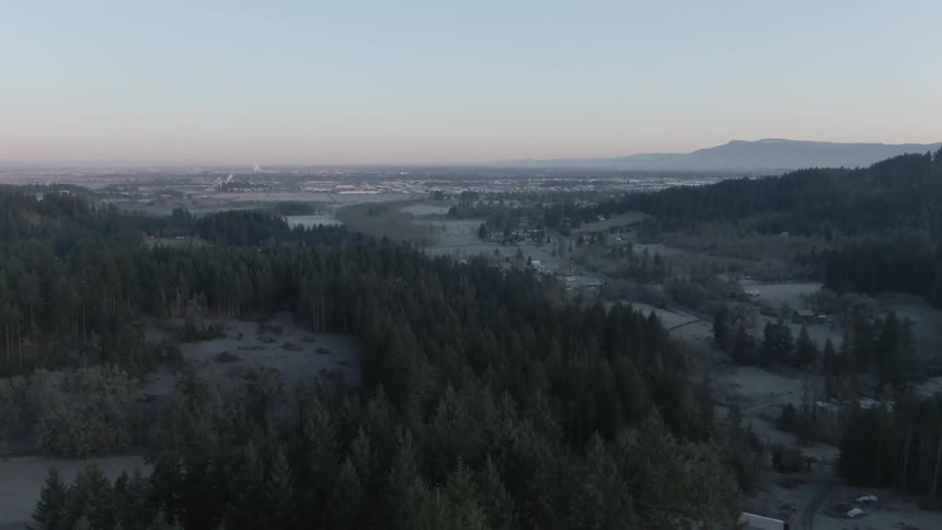 Fog obscures mountains and pink tinted horizon near townbordering clearing dotted conifer forest