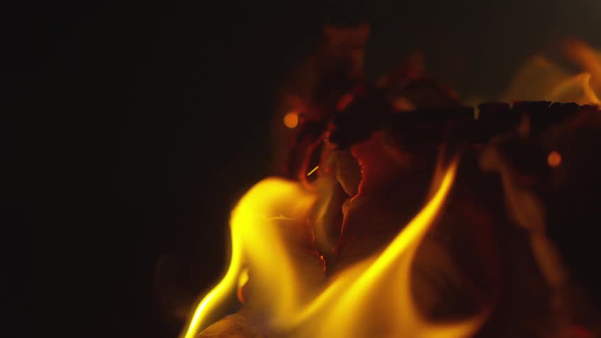 Logs of wood burning