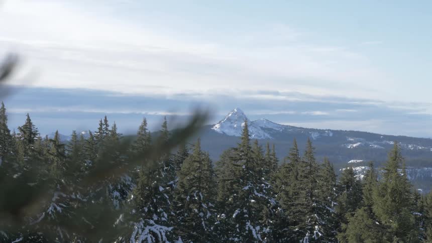 An aerial view of a forest and mountains with snow