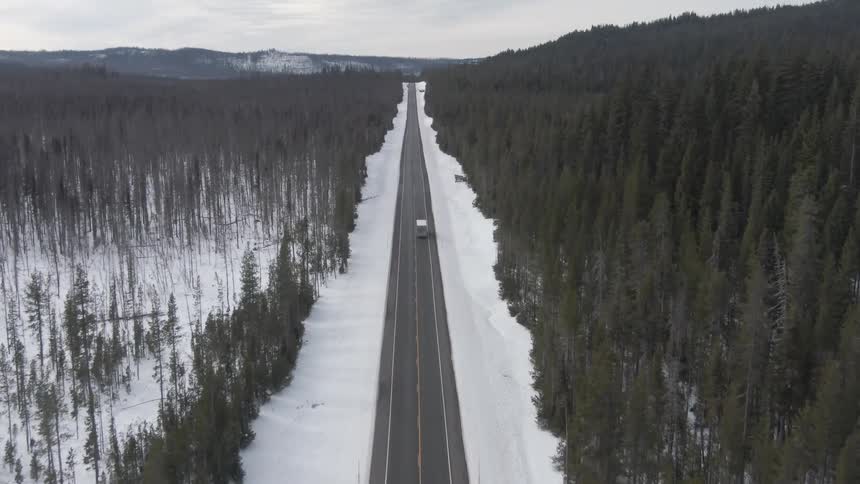 A white cargo van travels down a road that cuts through an evergreen forest