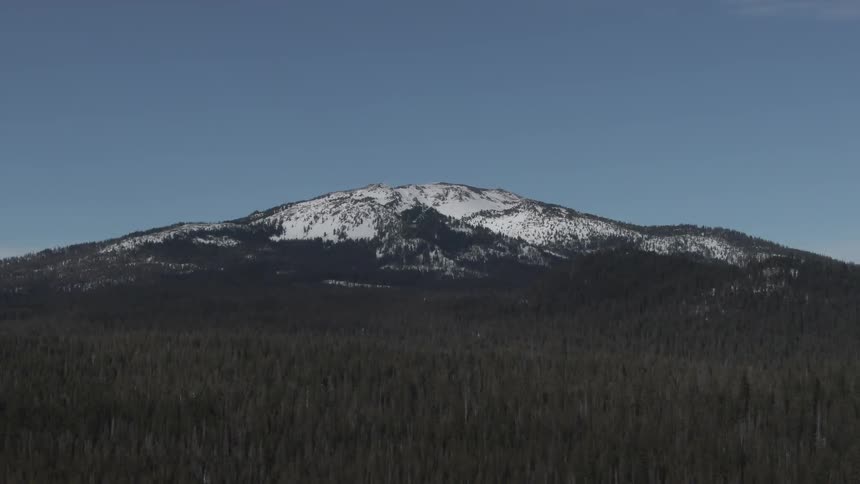 An aerial view of a mountain surrounded by trees is displayed
