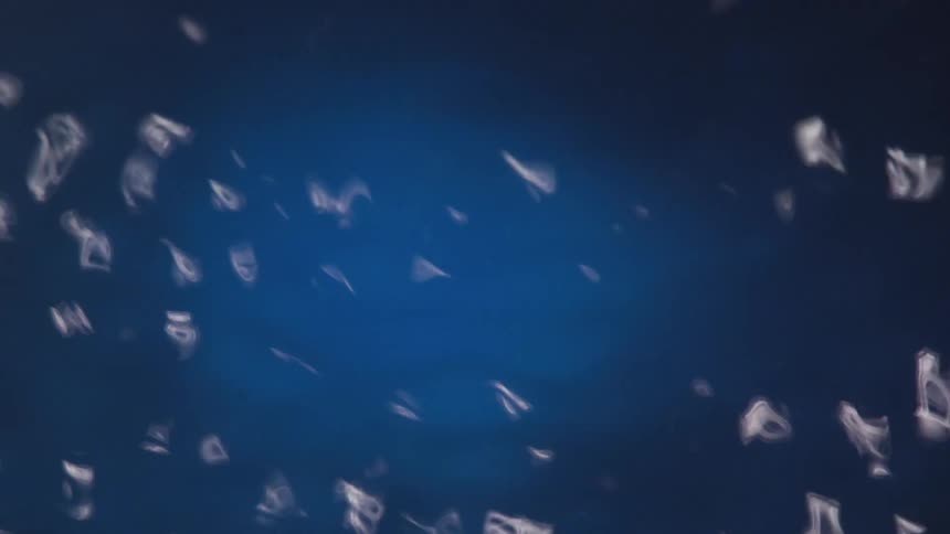 White graphics flash and spin against a blue background