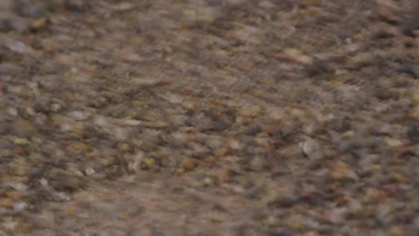 The sand and rocks shake together