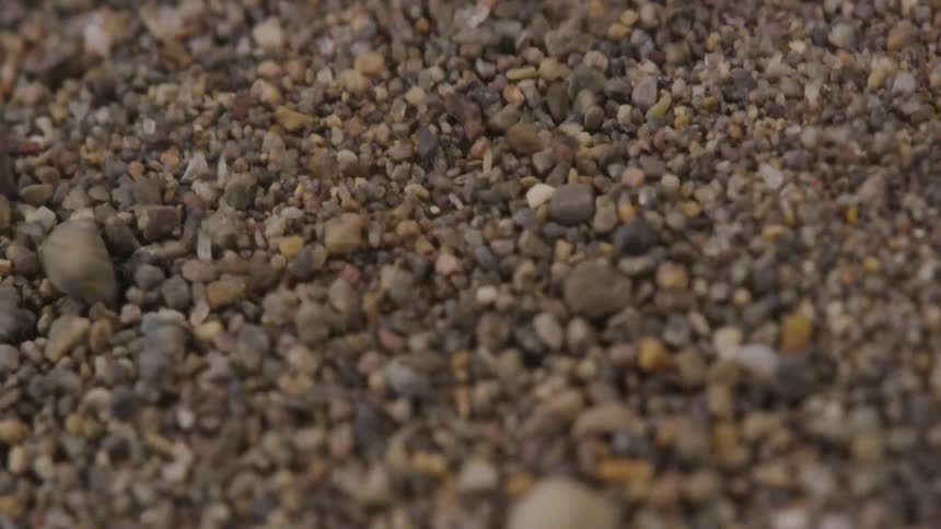 Small pebbles and granules bounce and tumble as they experience strong vibrations
