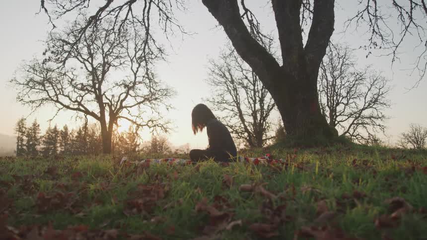 Silhouette of a woman sitting under a tree on the grass at sunset