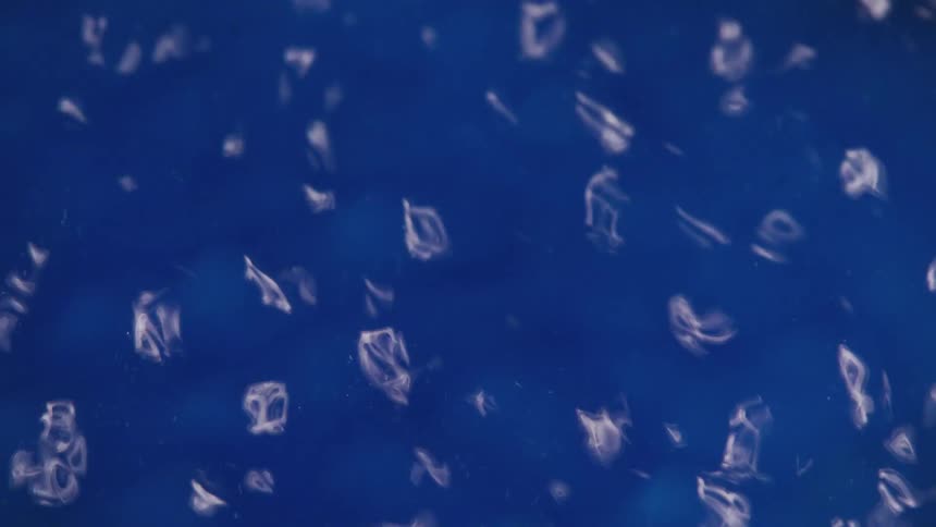 Bubbles form as water boils