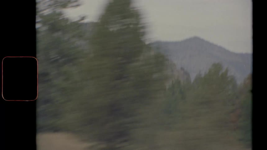 A woodland below a barren mountain ridge