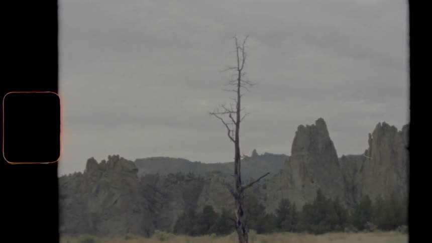 A thin tree with no leaves stands in a field near jagged mountains on a cloudy day