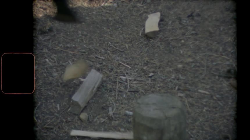 A person is chopping wood with an ax