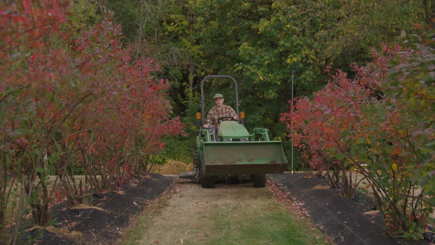 Man drives a small green tractor through a garden at sunset