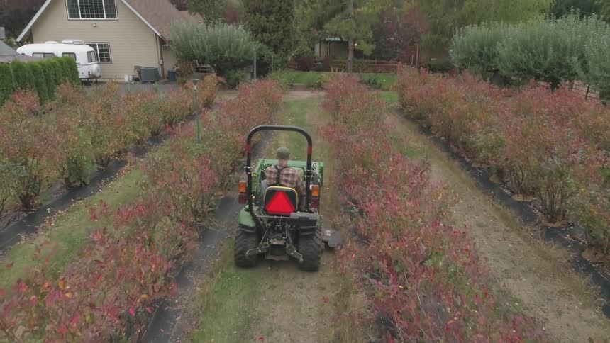 Man drives a motorized lawn mower on the garden of a house at sunset