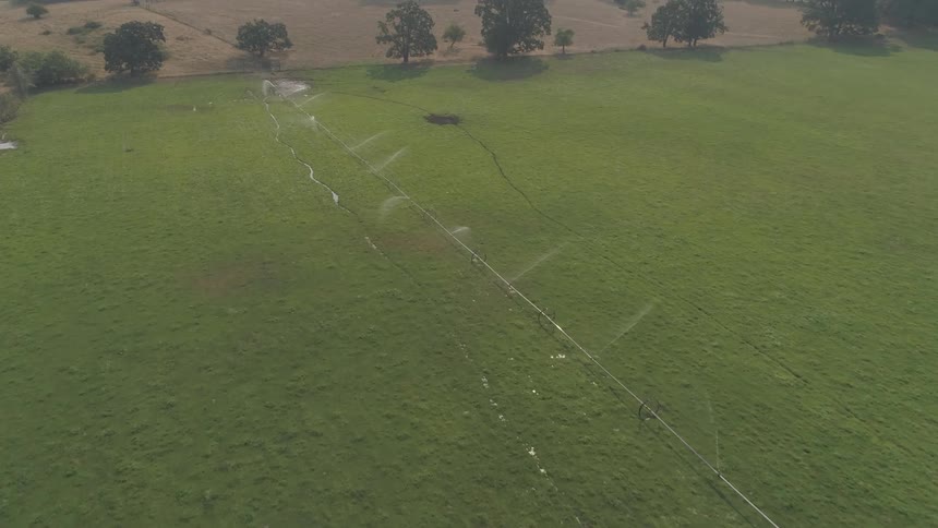 A large plot of farmland is kept green and health by a series water sprinklers