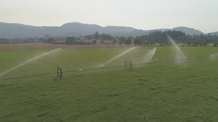 A grassy field with sprinklers and water with trees and a mountain range in the background