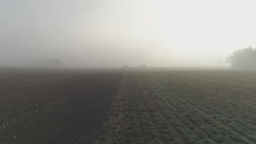 Crops on farmland