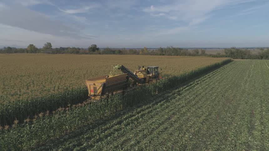 Machinery harvesting crops on a rural farm in the daytime