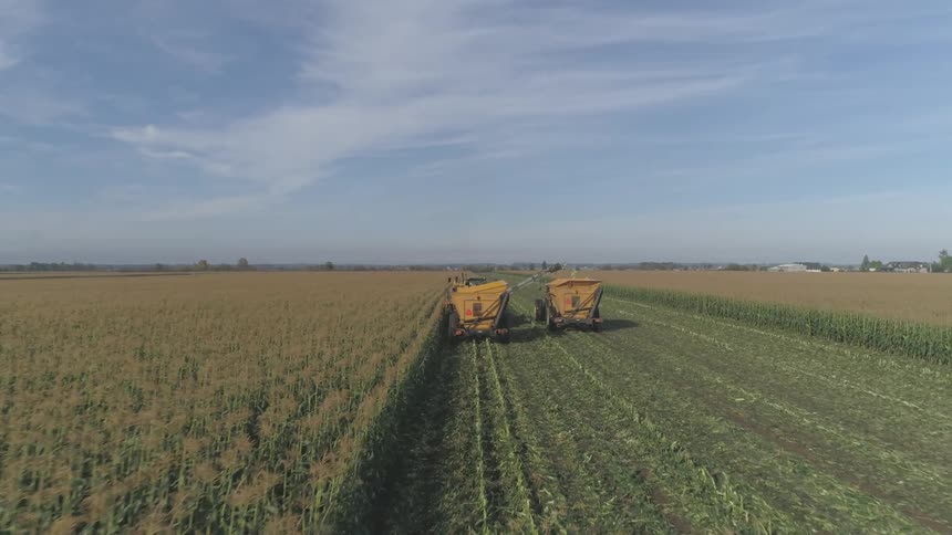 Farm equipment harvesting corn in field