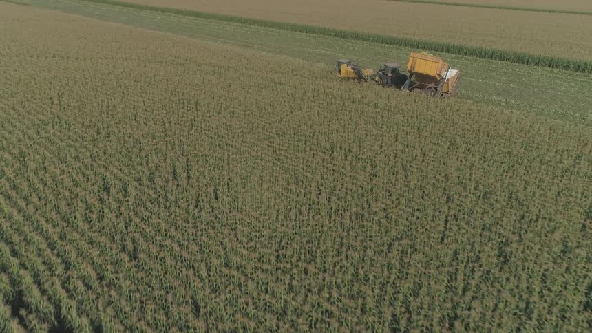 Harvester sits next to tractor on harvested crop field