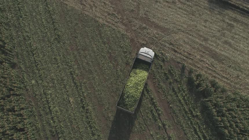 A truck witha large trailer carrying produce travels across the crop land of a farm