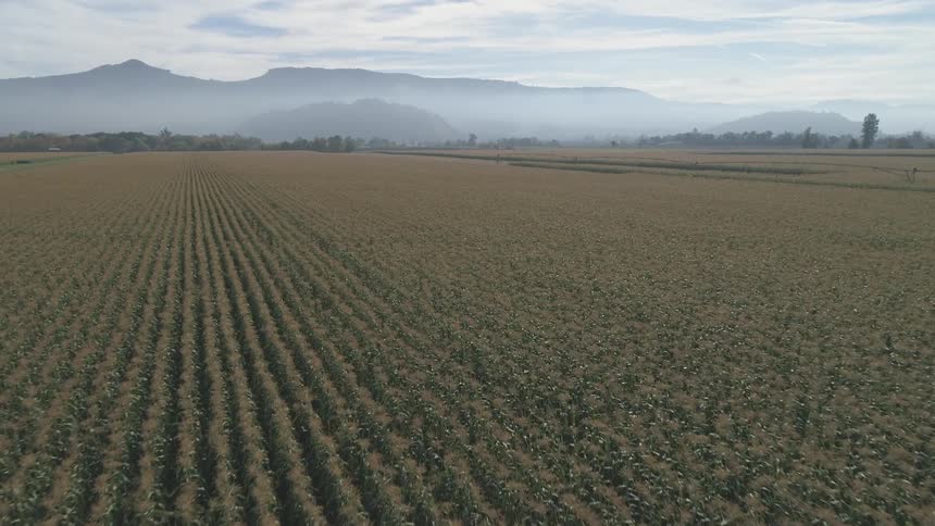 Vast farmland in front of mountain range with fog