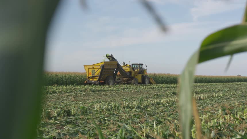 A yellow tractor drives along the edge of a farm field harvesting crops