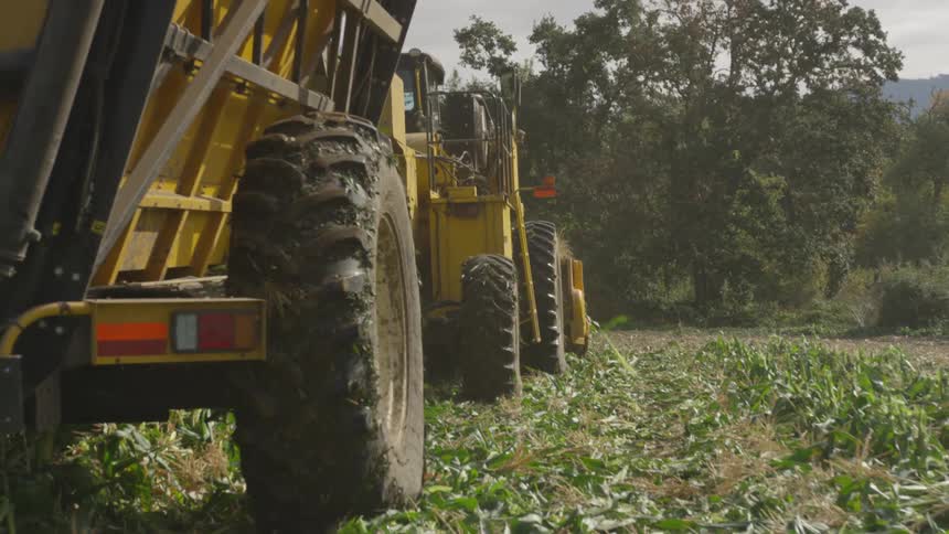 Yellow tractor pulling a harvester on a field in a farm