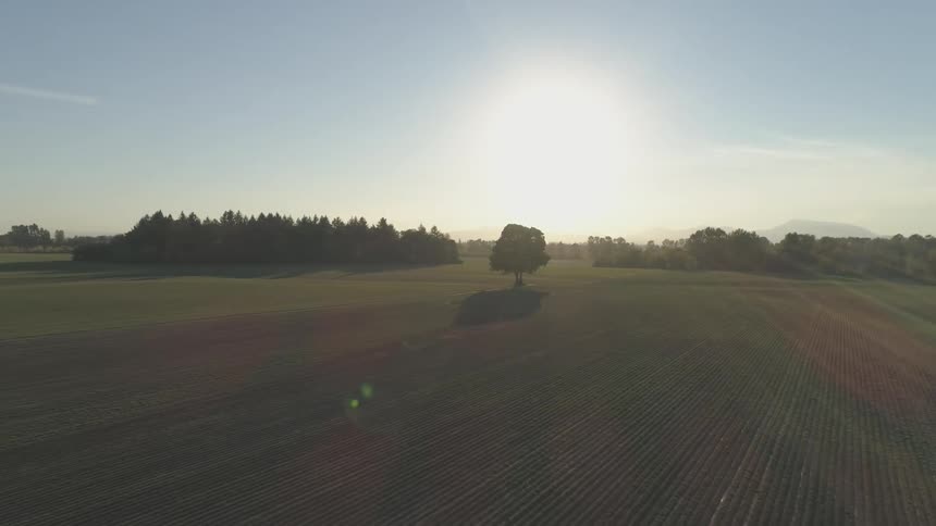Landscape view of a field on a farm
