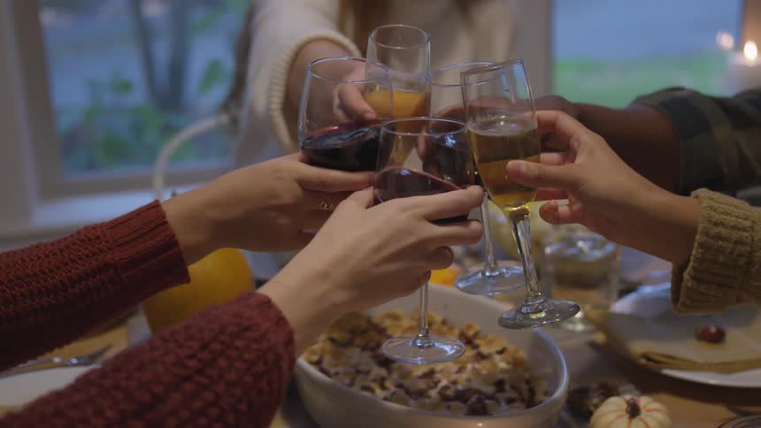 A group of people cheers their wine glasses at a dinner table