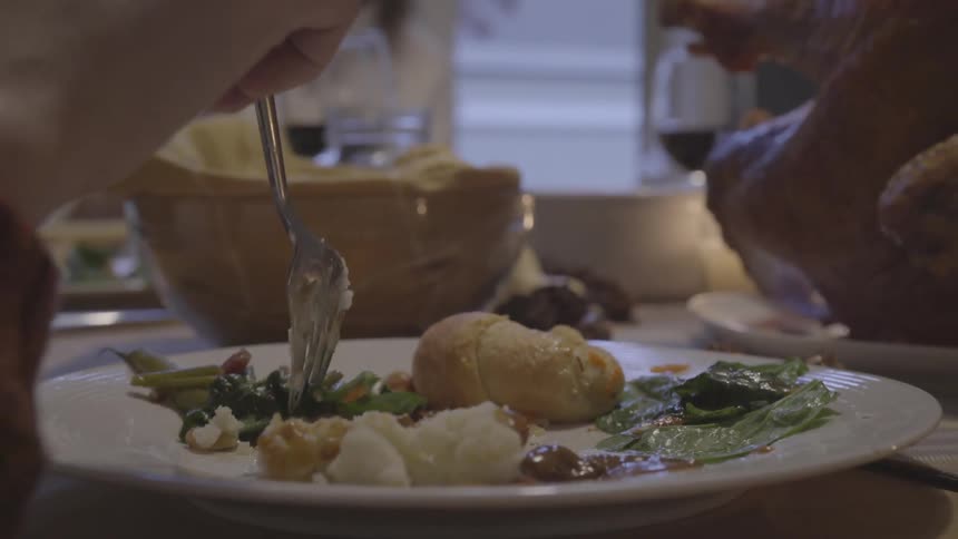 A person uses their fork to pick up food from a dinner plate
