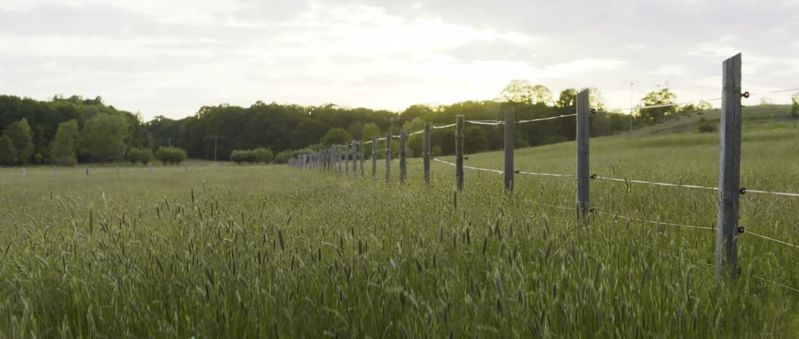 A grassland on a farm