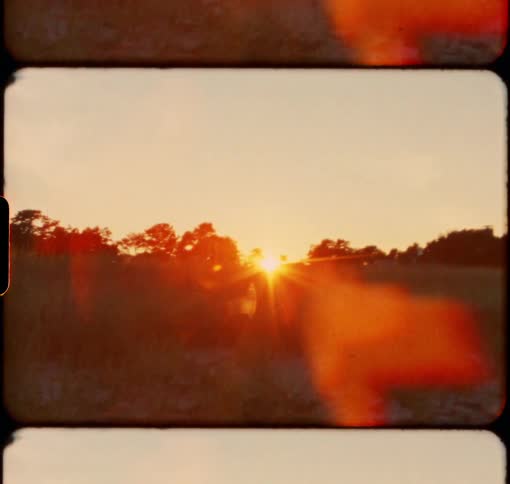 The sun sets behind a grove of trees in the summertime